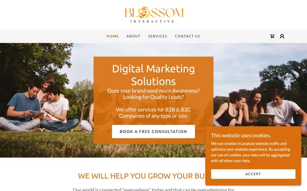 img of B2B Digital Marketing Agency - Blossom Interactive LLC.